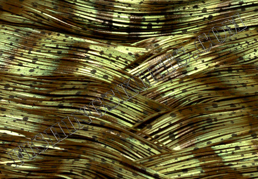 Living Image Magic Craw Green Swirl