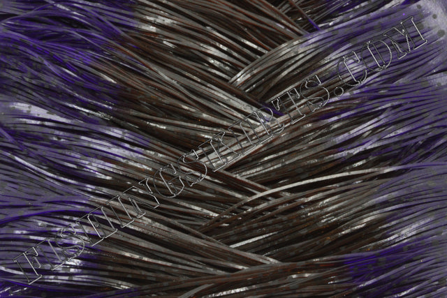 Brown Dalmatian Purple Dalmatian Tips