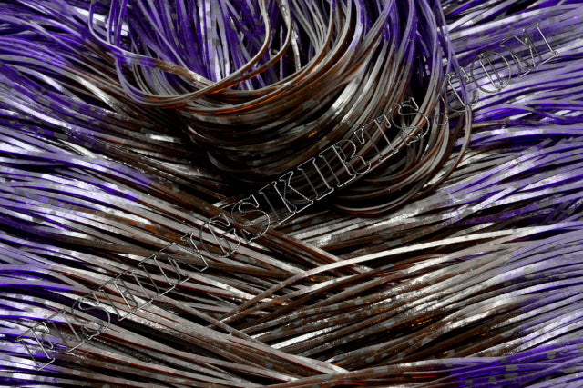Brown Dalmatian Purple Dalmatian Tips