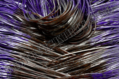 Brown Dalmatian Purple Dalmatian Tips
