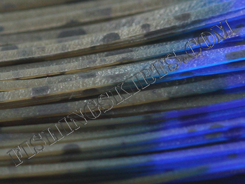 GP Blue Tip