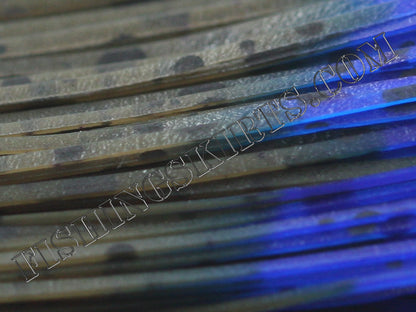 GP Blue Tip