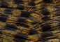 Living Image Brown Amber Craw