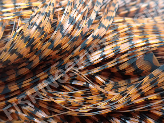 Burnt Orange Barbed Wire