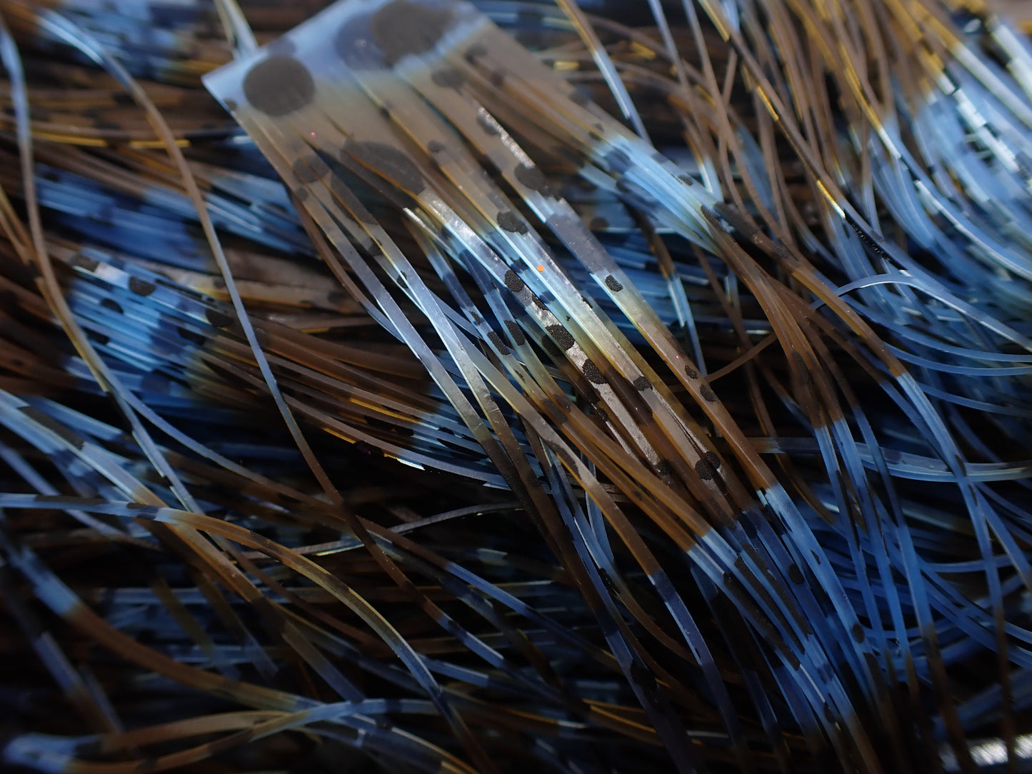 GPX Saphire Living Image Dalmatian XL