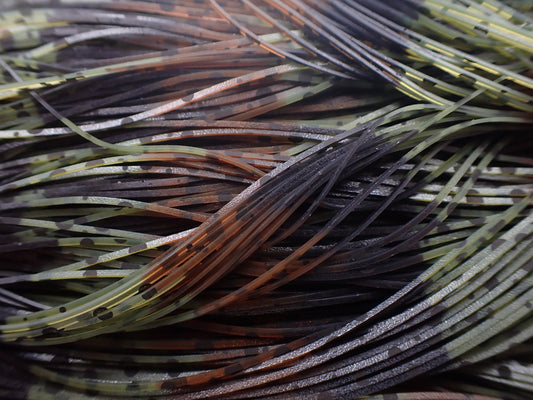 Brown Watermelon DGP Dalmatian