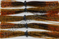 Fall Craw