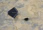 BOSS Amphibian Buzz Bait Black 1/4 oz Black Anodized Blade