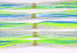 Chartreuse Shad
