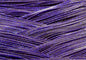 blue grape
